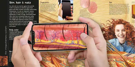 Play TapADot-HumanBody  and enjoy TapADot-HumanBody with UptoPlay