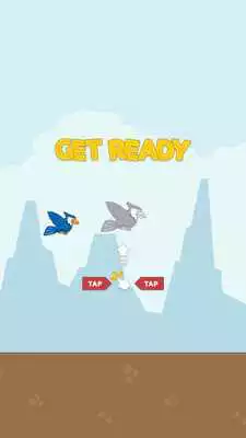 Play Tappy Blue Jay