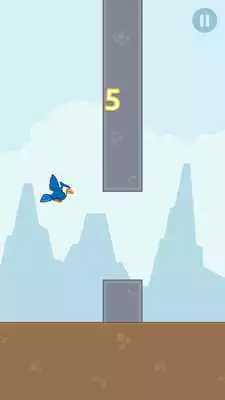 Play Tappy Blue Jay