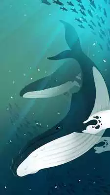 Play Tap Tap Fish