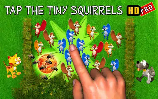 Play Tap the Squirrel HD Pro Play Tap the Squirrel HD Pro