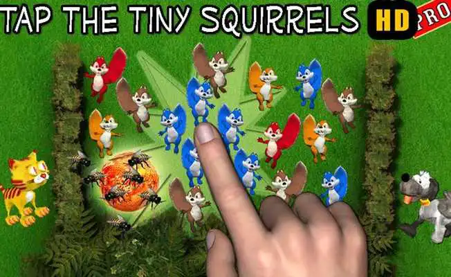 Play Tap the Squirrel HD Pro Play Tap the Squirrel HD Pro