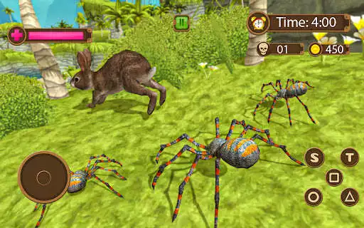Play Tarantula Spider Life Game and enjoy Tarantula Spider Life Game with UptoPlay Play Tarantula Spider Life Game and enjoy Tarantula Spider Life Game with UptoPlay