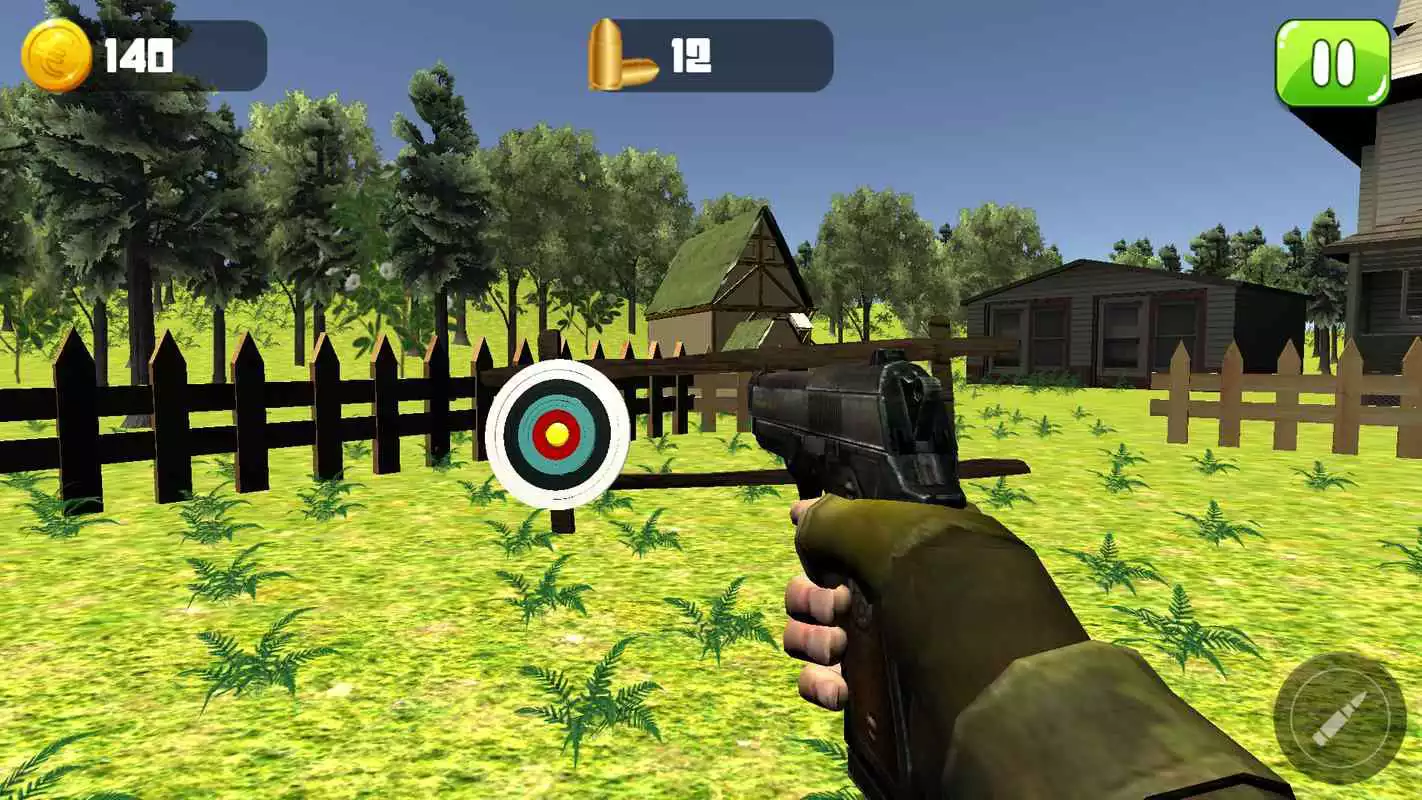 Play Target Shooting Expert 3D