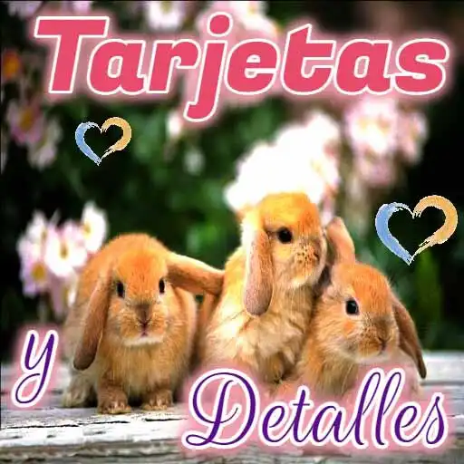 Play Tarjetas y detalles APK