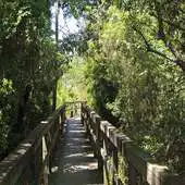 Free play online Tasks and Goals APK