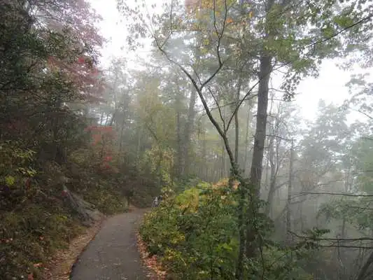 Play Tasks and Goals Play Tasks and Goals