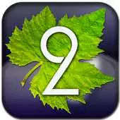 Free play online Taste2Wine - wine pairing APK