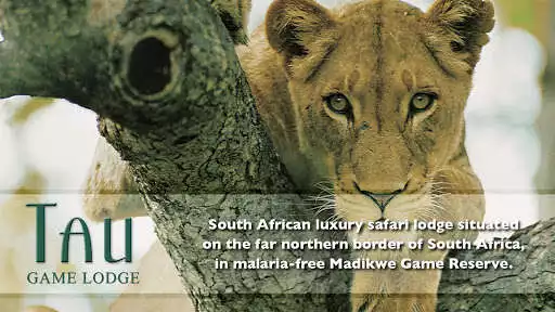 Play Tau Game Lodge  and enjoy Tau Game Lodge with UptoPlay