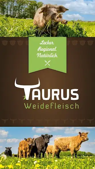 Play Taurus Weidefleisch  and enjoy Taurus Weidefleisch with UptoPlay
