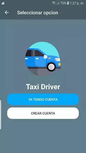 Play TaxiDriver