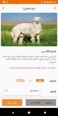 Play Tazejfood
