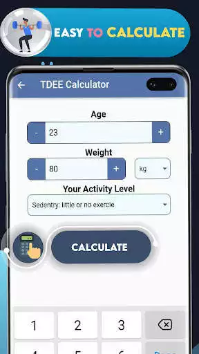 Play TDEE Calculator