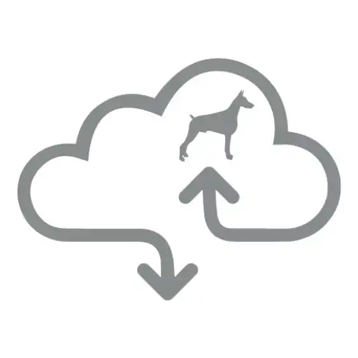 Play TDSS CLOUD APK