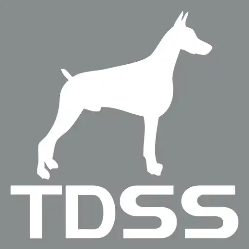 Play TDSS GUARDIAN APK