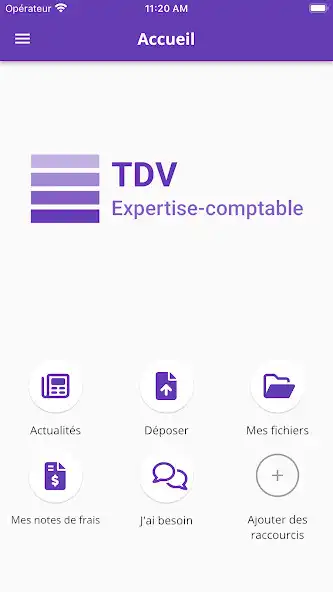 Play TDV Expertise-comptable as an online game TDV Expertise-comptable with UptoPlay