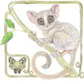Free play online Teach Animals APK Free play online Teach Animals APK