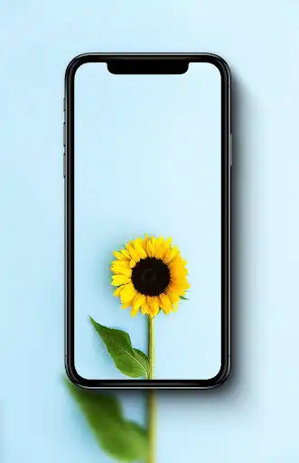 Play teal aesthetic wallpapers as an online game teal aesthetic wallpapers with UptoPlay