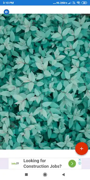 Play Teal HD Wallpapers as an online game Teal HD Wallpapers with UptoPlay