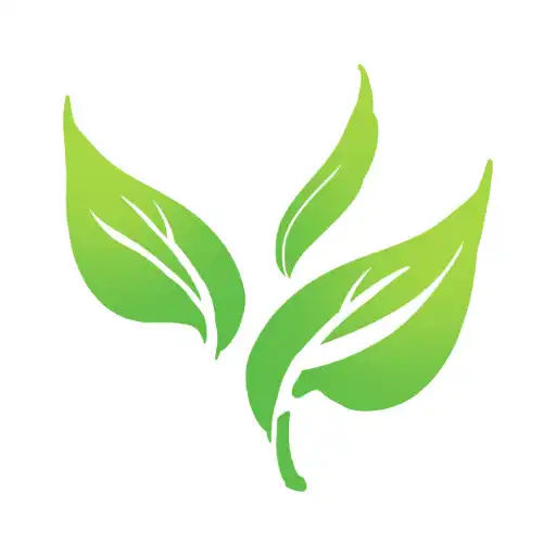 Play Tea Management APK Play Tea Management APK