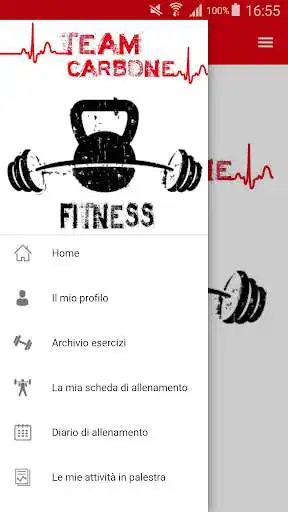 Play Team Carbone  and enjoy Team Carbone with UptoPlay