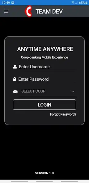 Play TeamDev  and enjoy TeamDev with UptoPlay