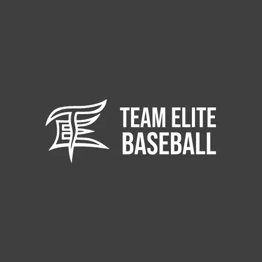 Play Team Elite baseball APK Play Team Elite baseball APK