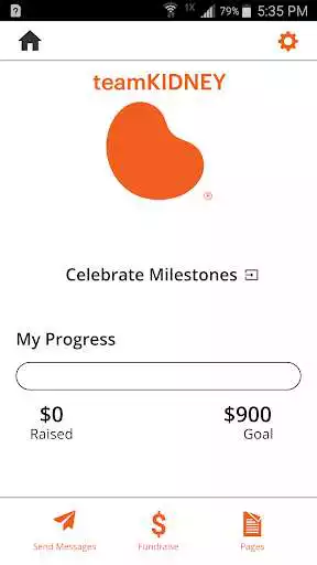 Play Team Kidney as an online game Team Kidney with UptoPlay