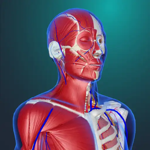 Play teamLabBody Pro APK Play teamLabBody Pro APK