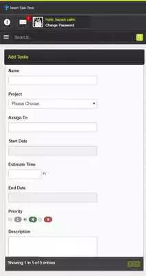 Play Team Task Flow
