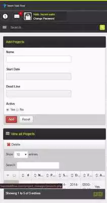 Play Team Task Flow