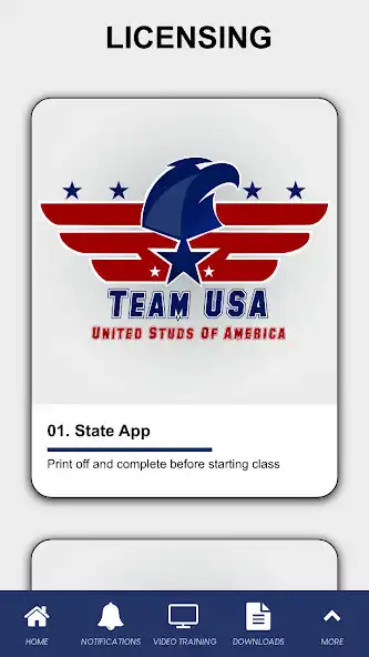 Play Team USA  and enjoy Team USA with UptoPlay