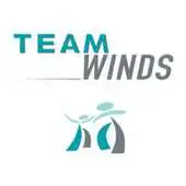 Free play online Team Winds APK