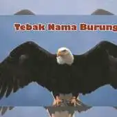 Free play online tebak gambar burung APK Free play online tebak gambar burung APK