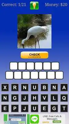 Play tebak gambar burung