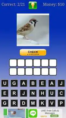 Play tebak gambar burung