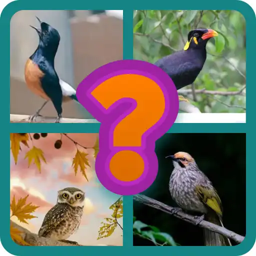 Play Tebak gambar nama burung APK Play Tebak gambar nama burung APK