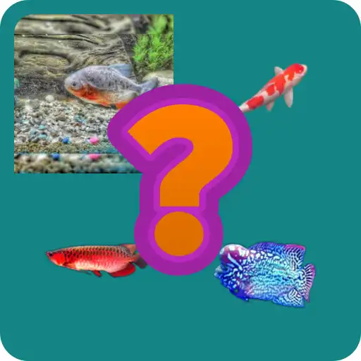 Play tebak gambar nama ikan APK