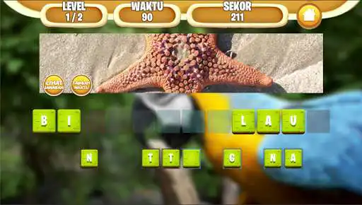 Play Tebak Nama Binatang Indonesia 2020  and enjoy Tebak Nama Binatang Indonesia 2020 with UptoPlay