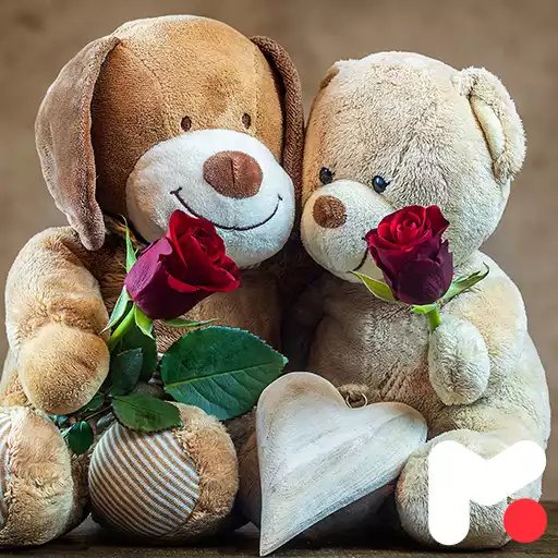 Play Teddy Bear Wallpapers APK Play Teddy Bear Wallpapers APK