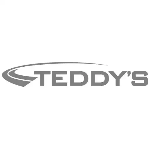 Play Teddy’s Transportation System APK