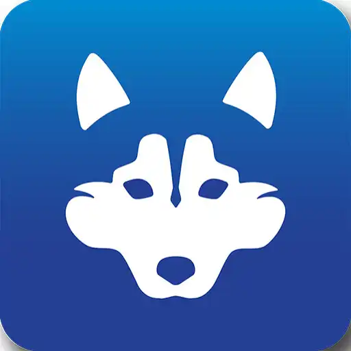 Play Tedy Loyalty APK