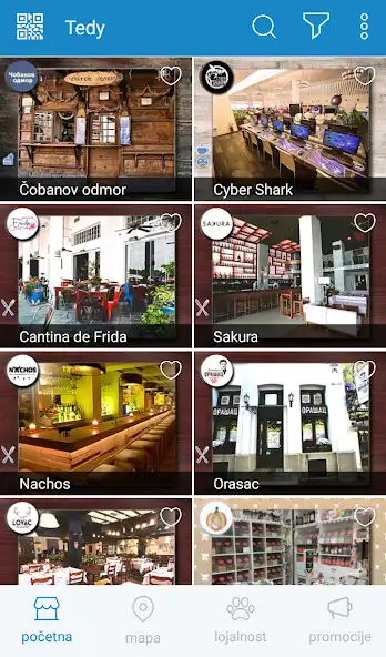 Play Tedy Loyalty as an online game Tedy Loyalty with UptoPlay