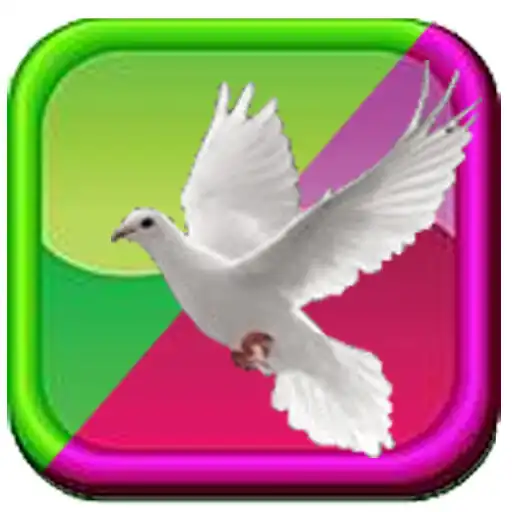 Play Teen Bible APK