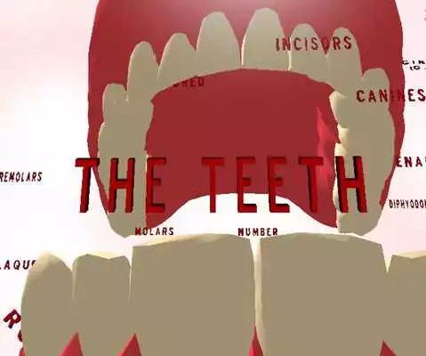 Play Teeth 3D