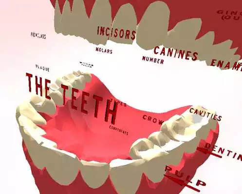Play Teeth 3D
