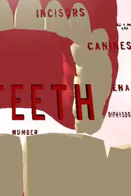 Play Teeth 3D