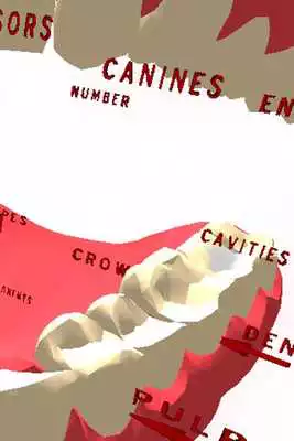 Play Teeth 3D