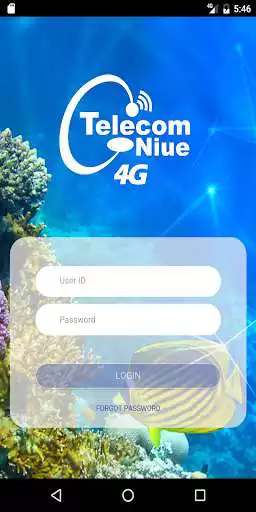 Play Telecom Niue
