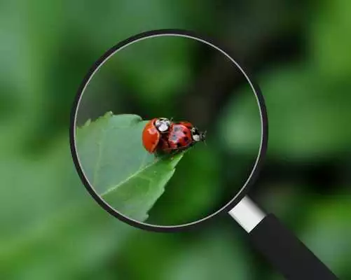 Play Telescope Camera Zoom HD ++